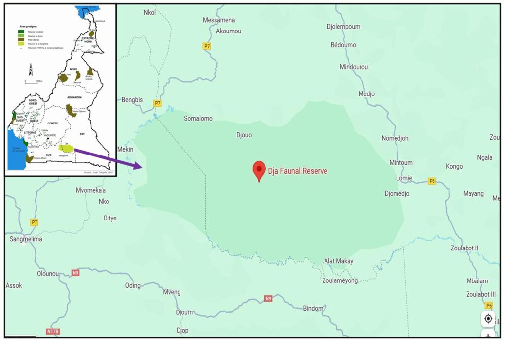 Map of indigenous communities around the Dja Faunal Reserve